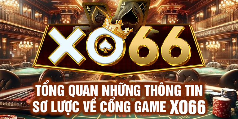 Tổng quan những thông tin sơ lược về XO66